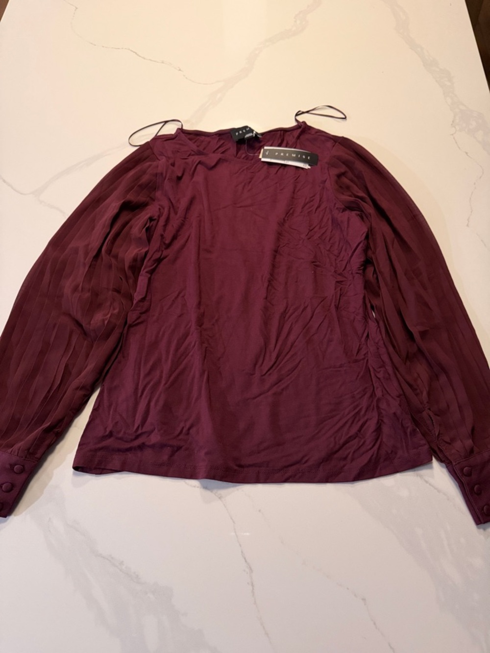 Long-Sleeve Pleated Sleeve Blouse